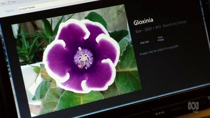 Jack Irish - Se4 - Ep6 HD Watch