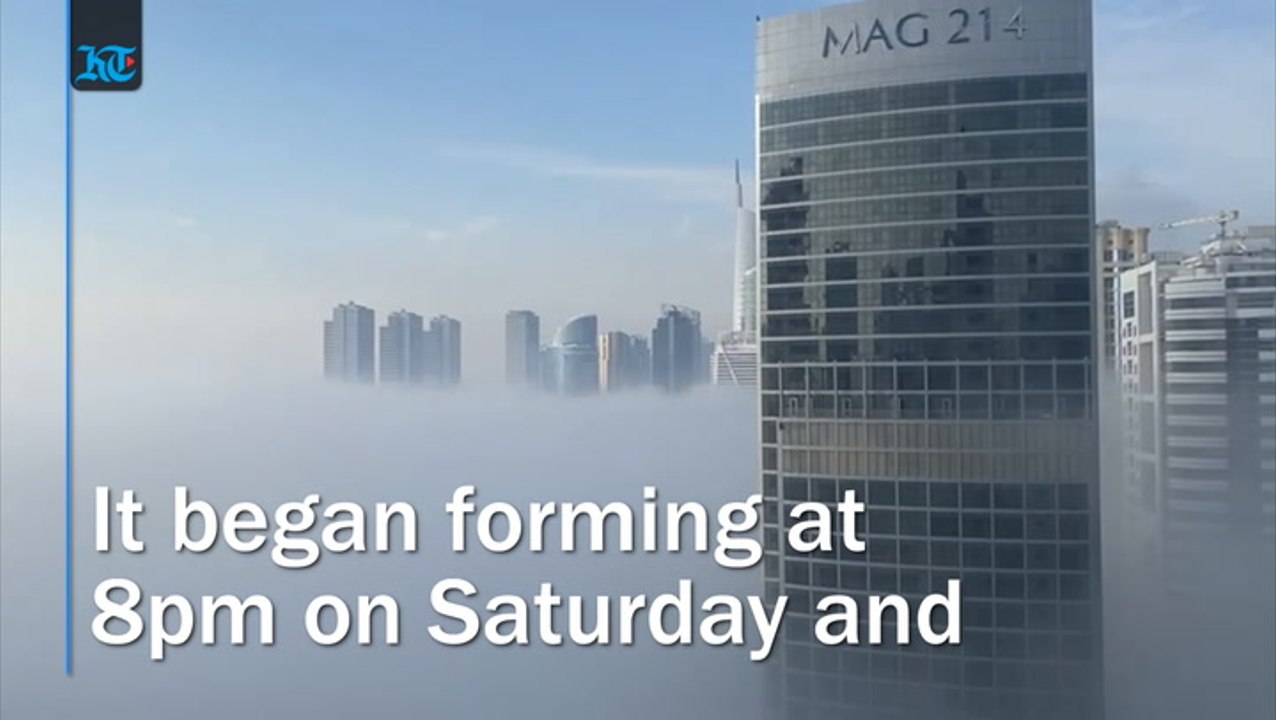 Fog In Uae