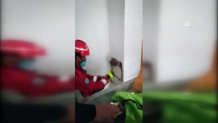 MUĞLA - Fethiye'de bacada mahsur kalan kedi kurtarıldı