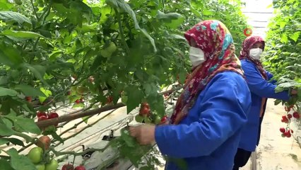 Kendi günlerinde çalışan tarım işçisi kadınlar unutulmadı