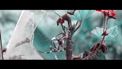 Natures of the World