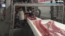 Incredible modern giant pork processing technology. || Amazing meat cutting machines poultry production