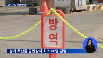 안성 축산물 공판장 60명 집단감염…오늘 400명대 중반 전망