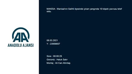 MANİSA - Yangında 10 köpek yavrusu telef oldu