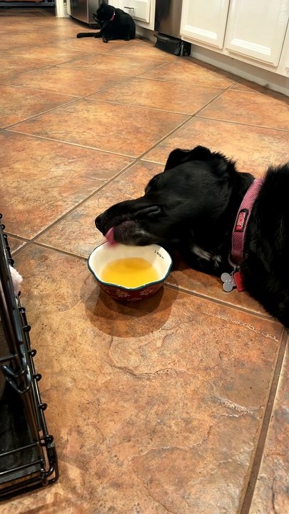 When The Soup Starts Tasting Like a Nap