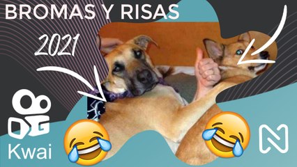 Bromas Random Virales Muy Graciosas 2021