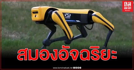 (คลิป) เปิดตัว สุนัขหุ่นยนต์ มี สมองอัจฉริยะ เจ๋ว์อิ่ง 4 ขา อัพเกรดใหม่ - เบาที่สุด