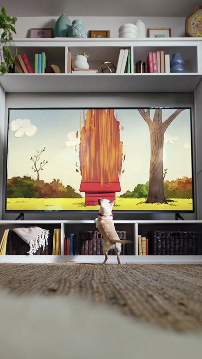 Dogs Watching Snoopy