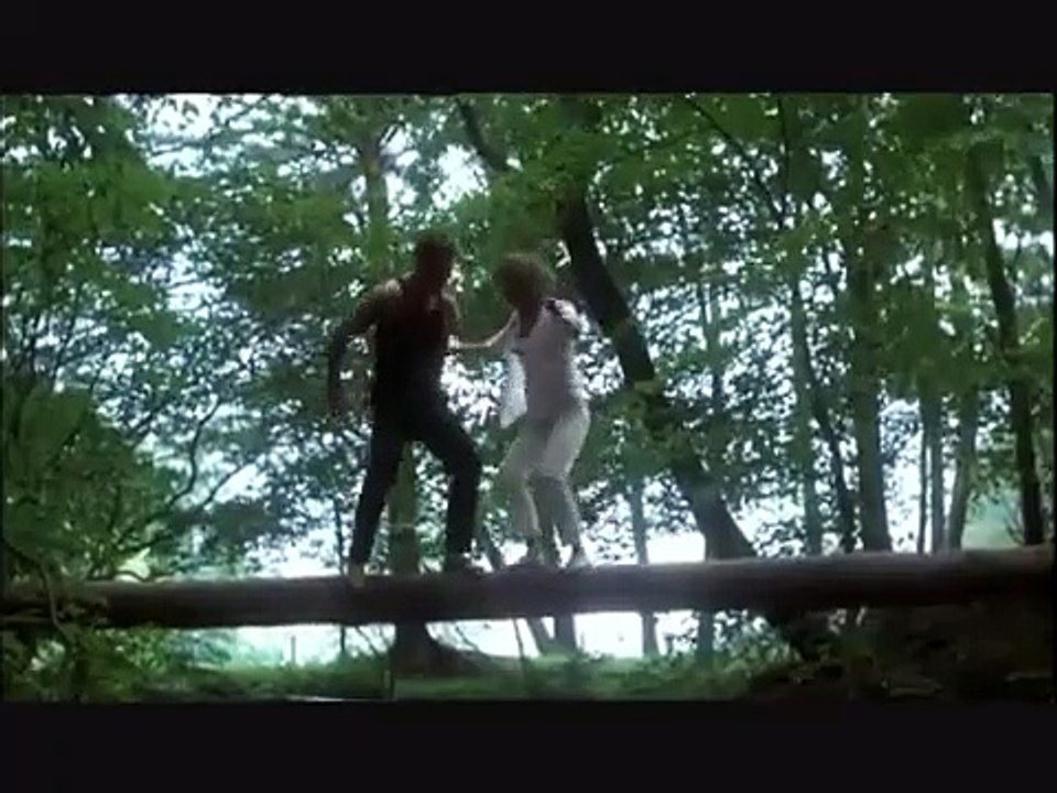 Dirty Dancing Film (1987)