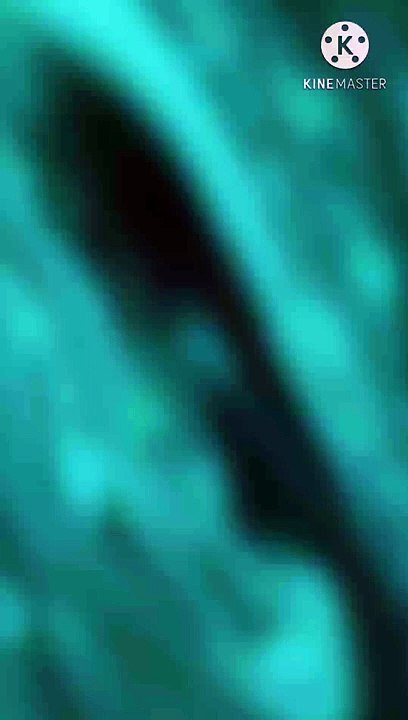 jannat me konse makan ki khayesh mand hona | peer zulfiqar ahmad naqshbandi db