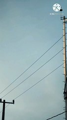 talib e  ilm | peer zulfiqar ahmad naqshbandi db