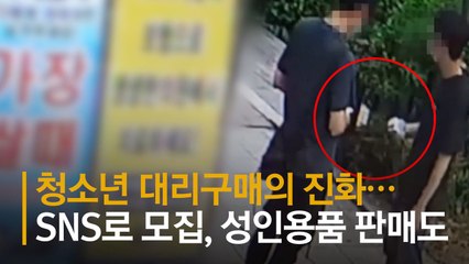 "댈구" 은밀한 제안 오갔다…여학생에 접근한 남성 덮치니 [영상]