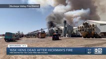Hickman's Family Farms fire destroyed two cage-free hen houses