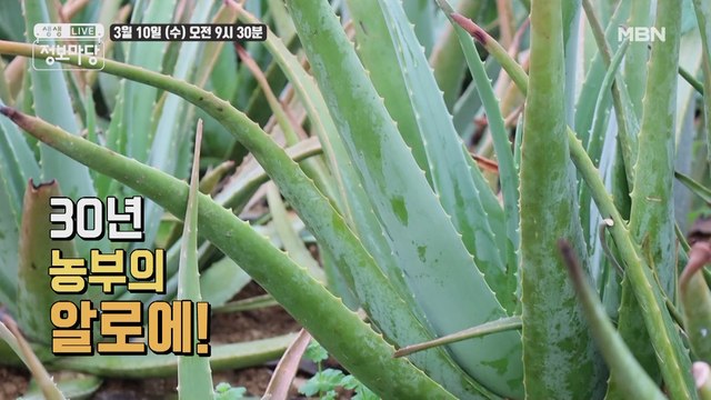 생생 정보마당 [835회] - 실속 있는 수요일