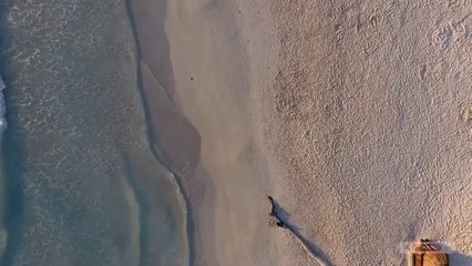 Morning Workout and Exercise Motivation