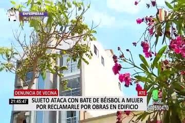 Mujer denuncia que vecino la atacó con un bate tras pedirle que cese bulla de construcción