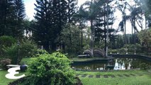 Hillcreek Gardens in Tagaytay