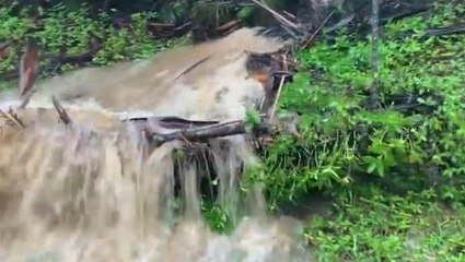 A boat would probably better for these roads