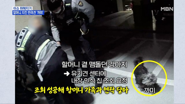 MBN 뉴스파이터-할머니 지킨 반려견 '까미'