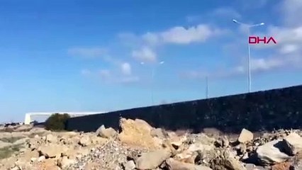 'Keşiş kuyrukkakanı' Antalya'da görüntülendi: ''O kadar nadir ki..."