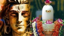 Maha Shivratri 2021: महाशिवरात्रि में भूलकर भी ना करें शंख समेत इन चीजों का इस्तेमाल वरना लगेगा पाप