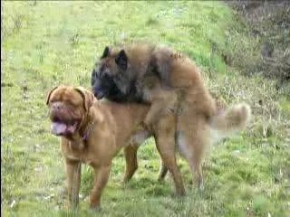 Elthon et son pote Baccus