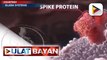 ULATSERYE: Pagpasok ng SARS-COV-2 virus sa katawan ng tao, ipinaliwanag ng eksperto I via Sweeden Velado-Ramirez
