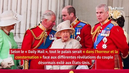 Les princes Charles et William affligés par l’interview de Harry et Meghan