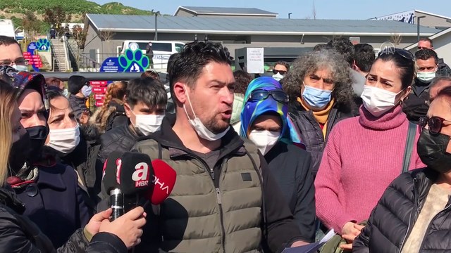 İSTANBUL - Hayvan hakları savunucularından Küçükçekmece Belediyesine tepki