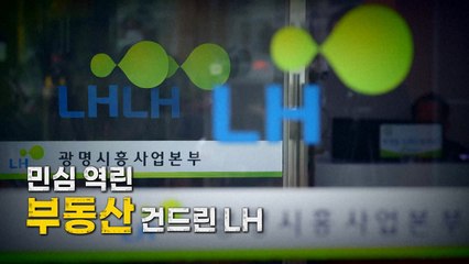 [영상] 민심 역린 '부동산' 건드린 LH / YTN