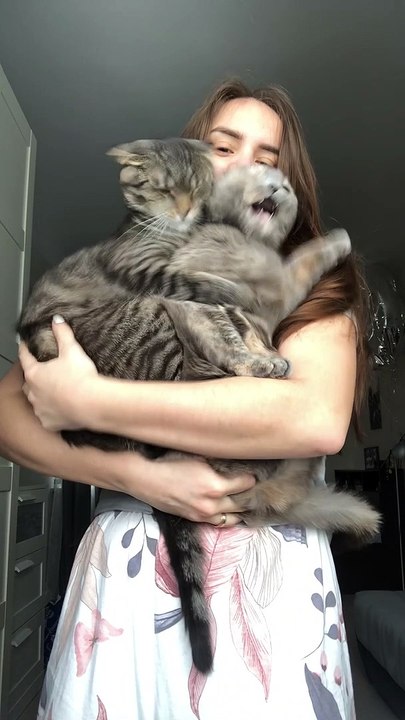 Kitties Claw Their Way Out of a Cuddle