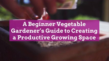 A Beginner Vegetable Gardener's Guide to Creating a Productive Growing Space