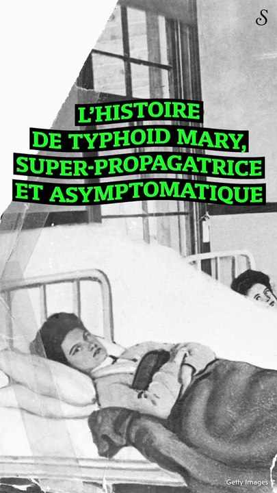 L'histoire de Typhoid Mary, super propagatrice et asymptomatique