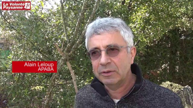 Maraîchage : présentation des résultats du projet AutoMO