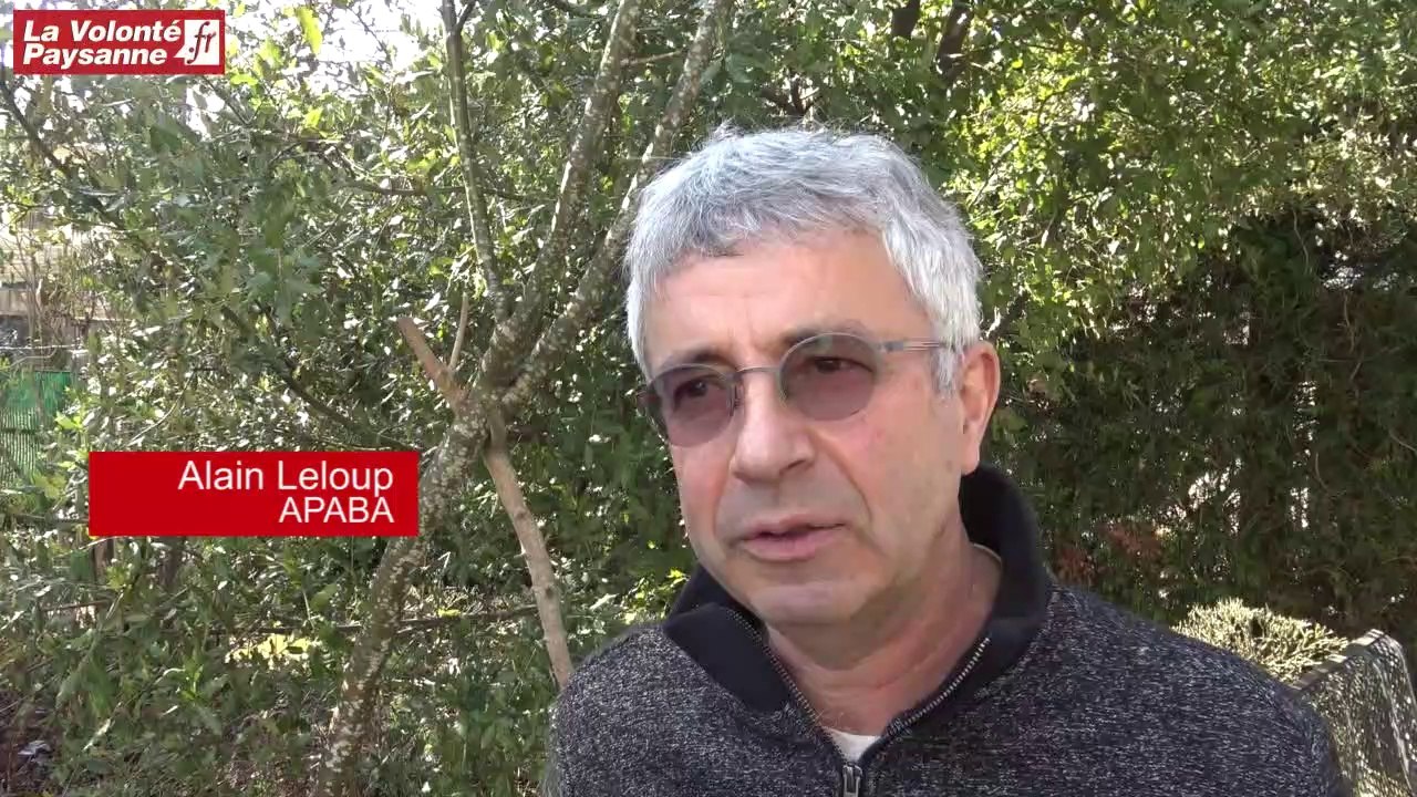 Maraîchage : présentation des résultats du projet AutoMO