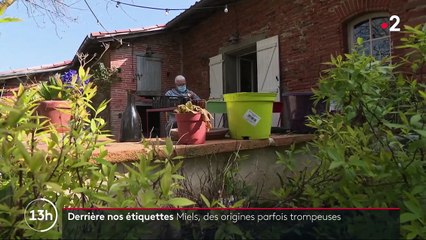 Consommation : les origines parfois trompeuses du miel