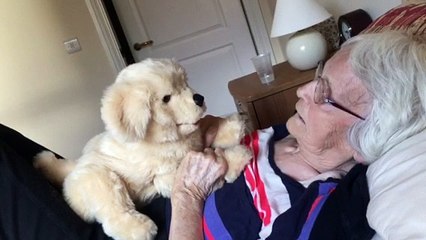 Sheffield care home resident with fundraised robo-dog