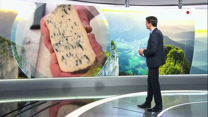 Alimentation : sur les traces du bleu de Sassenage, patrimoine culinaire du Vercors