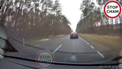 Traversé de cerf sur une route en Pologne