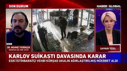 Mehmet Perinçek'ten Çarpıcı 'Karlov Suikastı' açıklaması