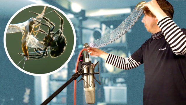 How sounds are made for nature documentaries