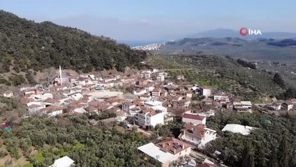 Çocuğu olmayanlar kayanın etrafında dönüp çıkan böceği yutuyor