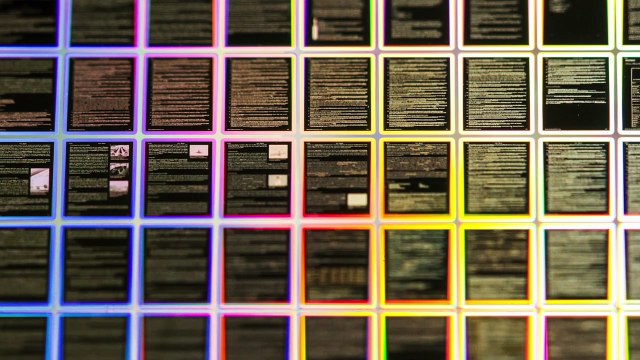 En abril Israel estrelló una nave espacial en la Luna y ahora hay miles de TARDÍGRADOS