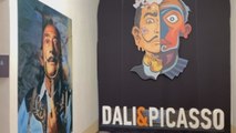 Moscú expone más de 250 obras de Dalí y Picasso de una colección privada