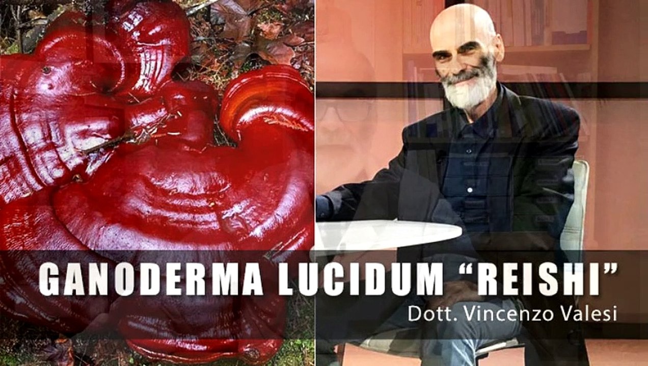 Dott. Valesi: I benefici del Ganoderma lucidum "Reishi"