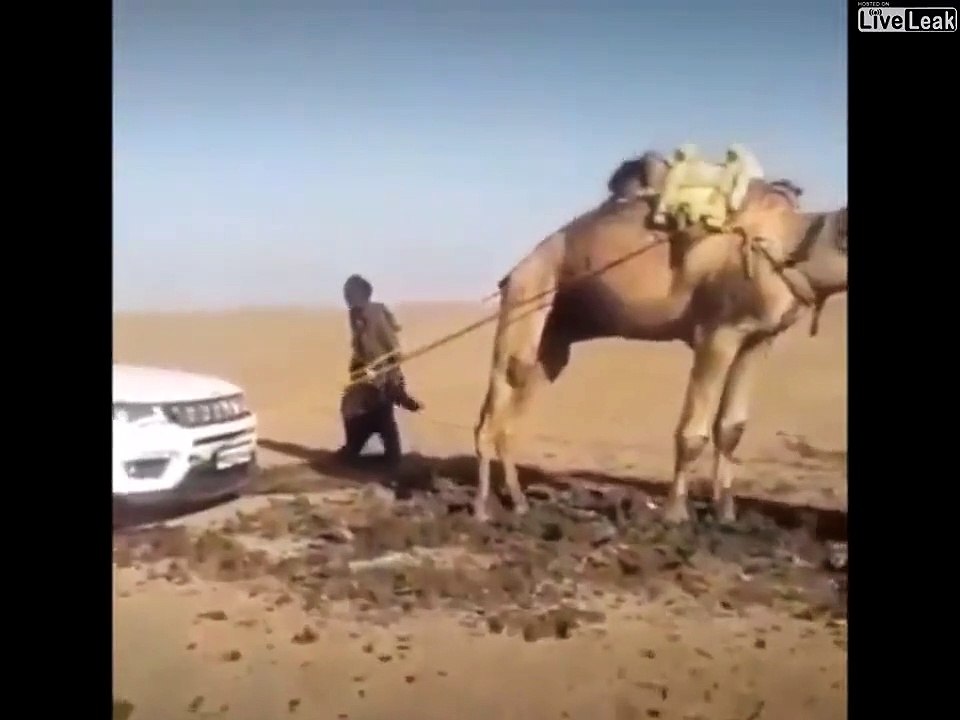 En panne dans le désert, regardez qui vient dépanner sa voiture