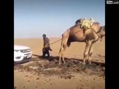 En panne dans le désert, regardez qui vient dépanner sa voiture
