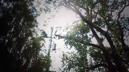 Vintage Shoot with Bf