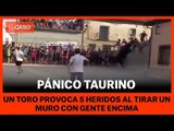 TORO EN GUADALAJARA - Un toro provoca el pánico y 5 heridos al tirar un muro con gente encima