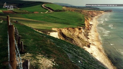 A T. Rex Relative? New Species Potentially Discovered During Family Vacation